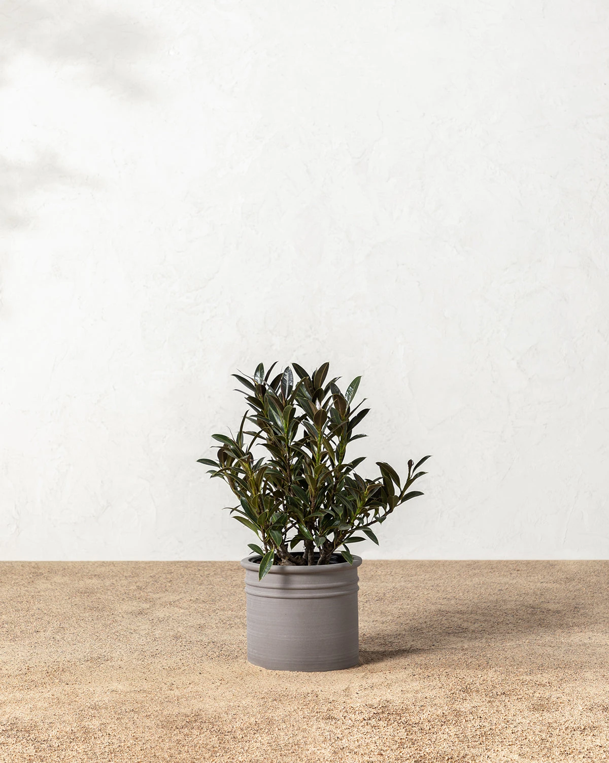 Bolton Ceramic Planter - Image 3