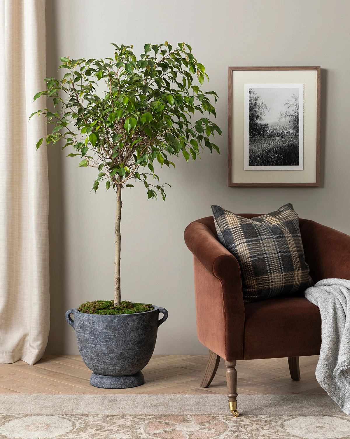 Cleo Terracotta Planter - Image 2