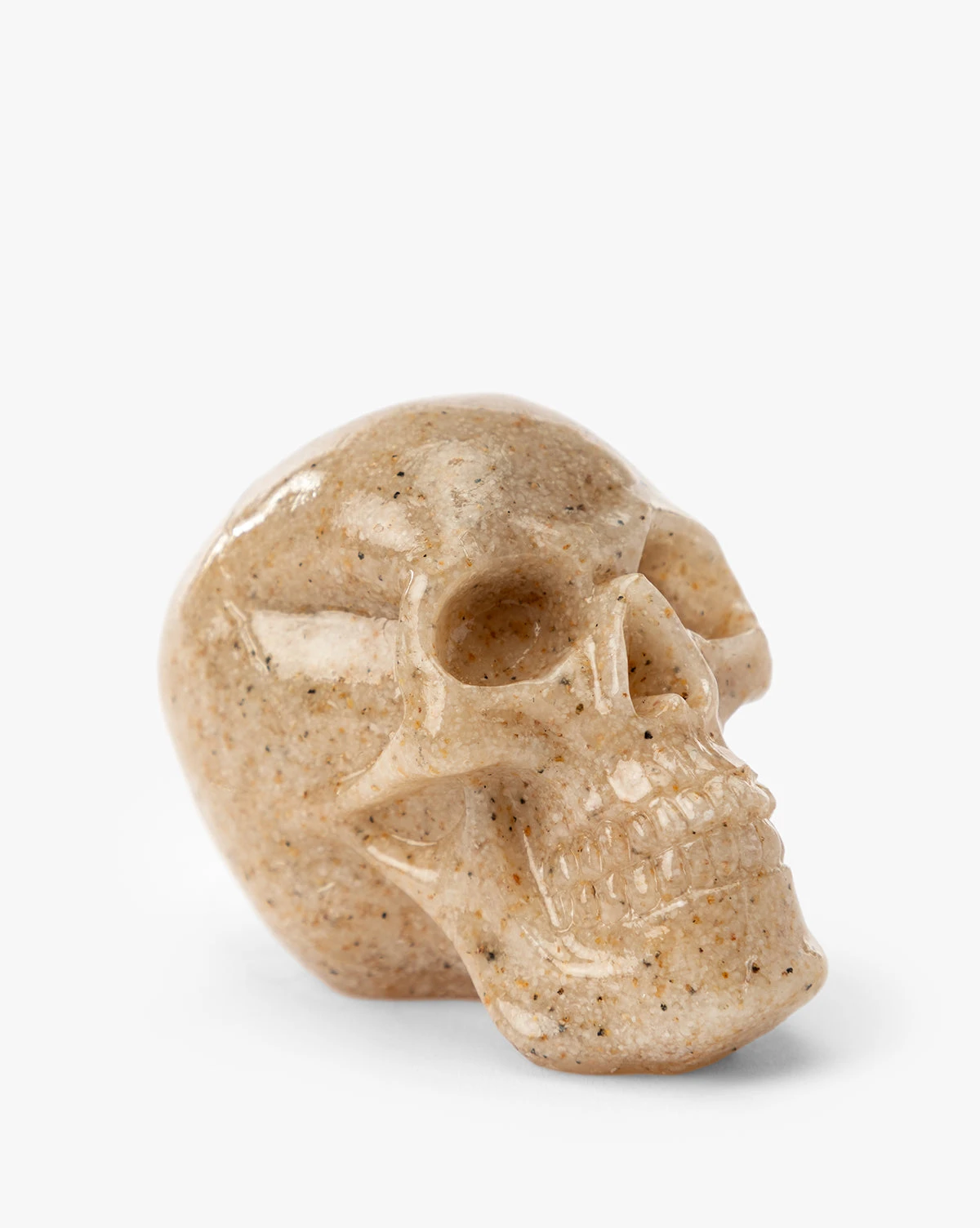 Assorted Resin Skulls (Boxed Set Of 4) - Image 5