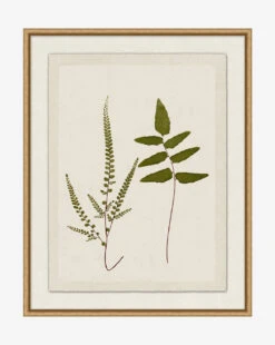 Botanical Pressings I