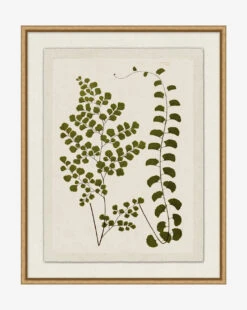Botanical Pressings III