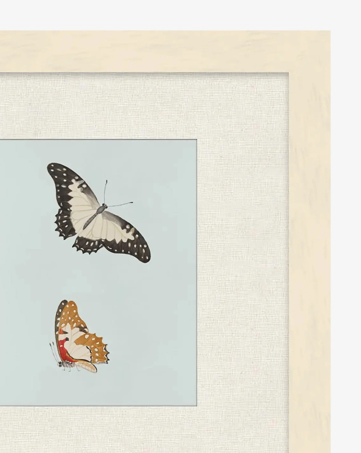 Butterflies Study II - Image 2