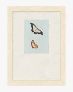 Butterflies Study II