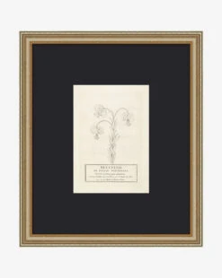 Collection Of French Flowers