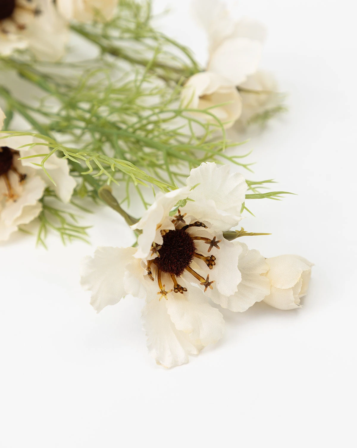 Cream Cosmos Stem - Image 5