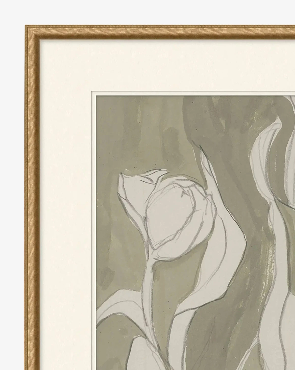 Delicate Tulip II By Rebekah Webb - Image 2