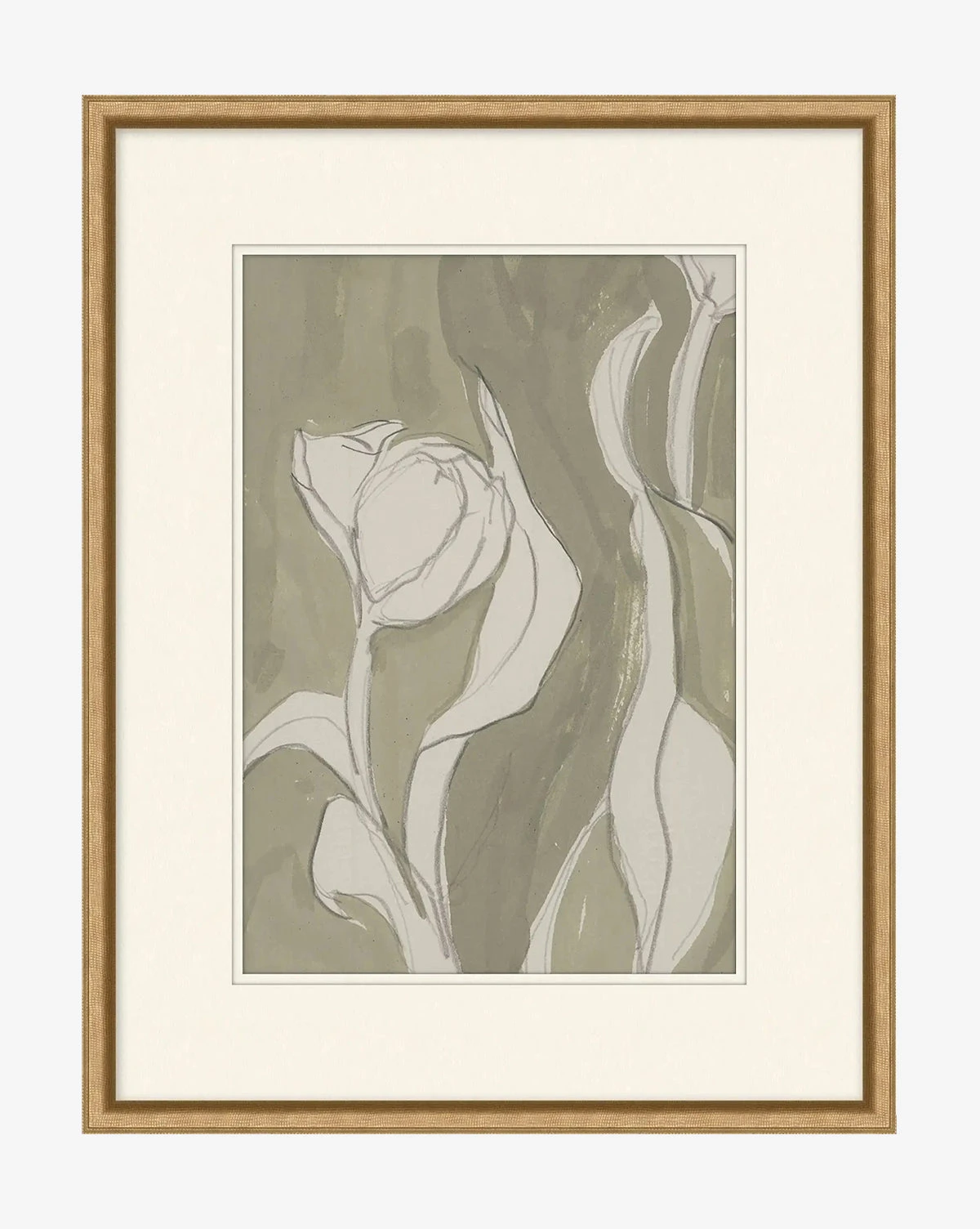 Delicate Tulip II By Rebekah Webb