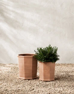 Dempsey Terracotta Pot