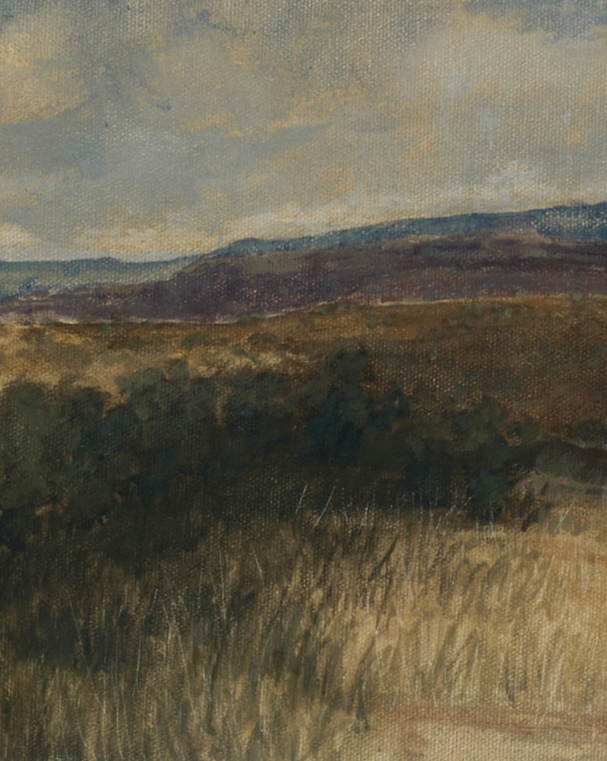 Desert Hues I By Aileen Fitzgerald - Image 4