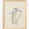 Embroidered Blue Iris