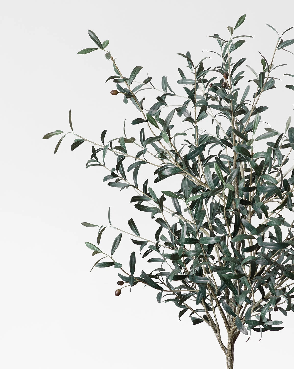 Faux 72" Olive Tree With Ceramic Pot - Image 4