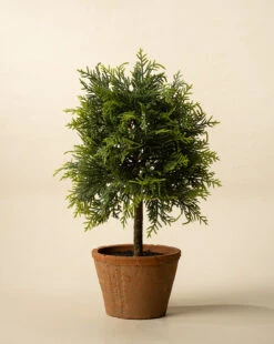 15.5" Cypress Faux Potted Topiary