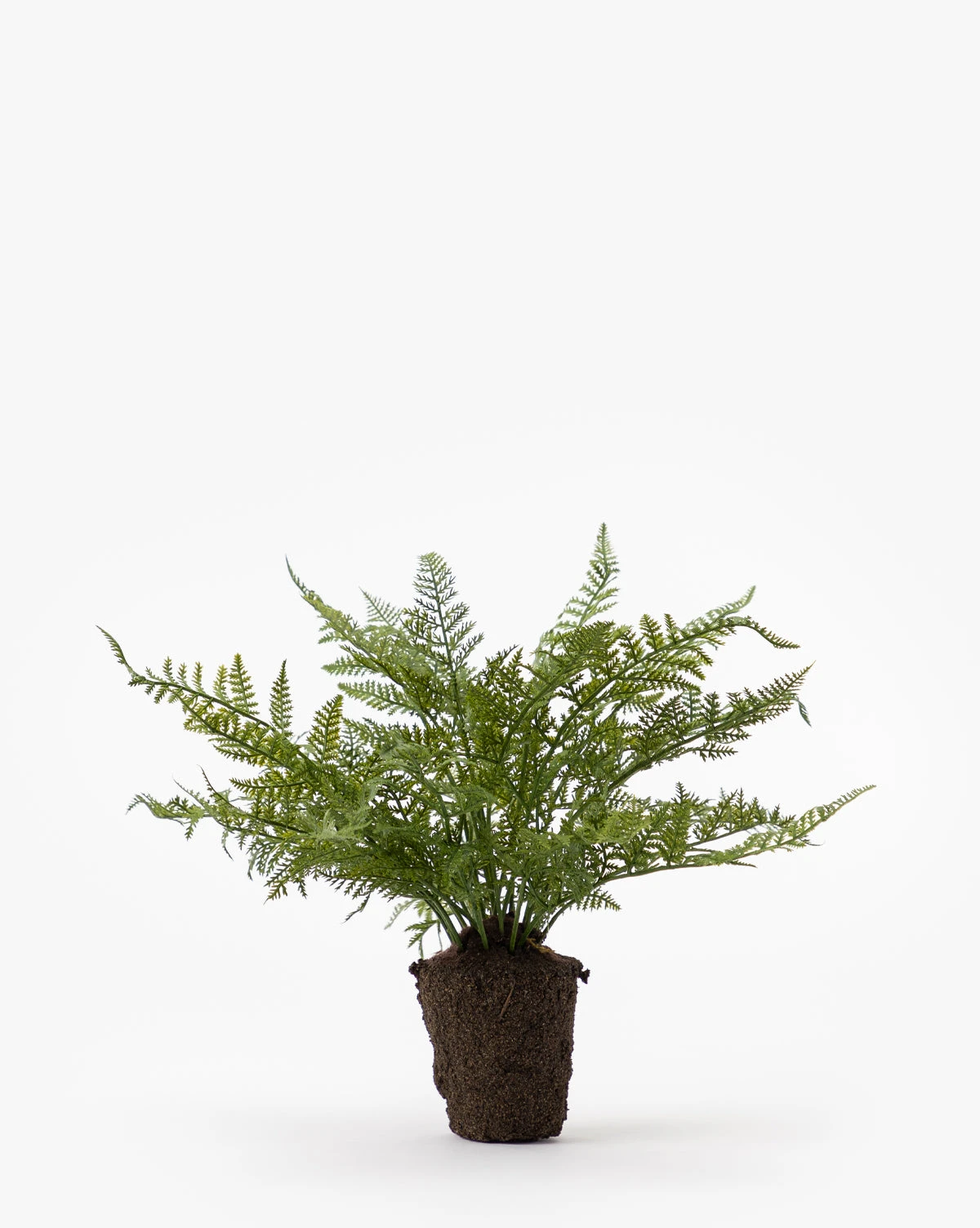 Faux Fern Drop-In - Image 2