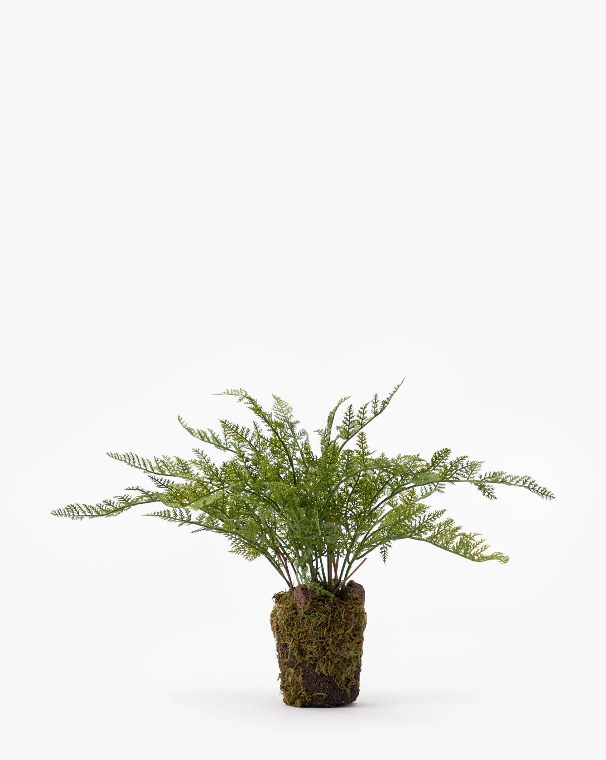 Faux Fern Drop-In - Image 3