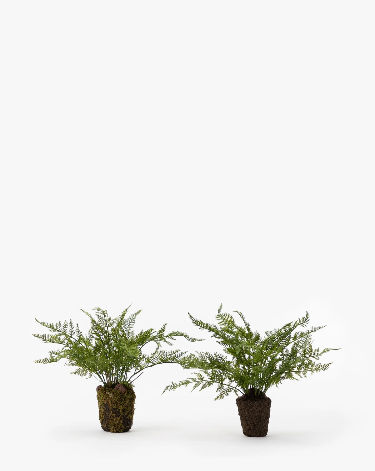 Faux Fern Drop-In