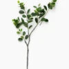 Faux Italian Ficus Branch
