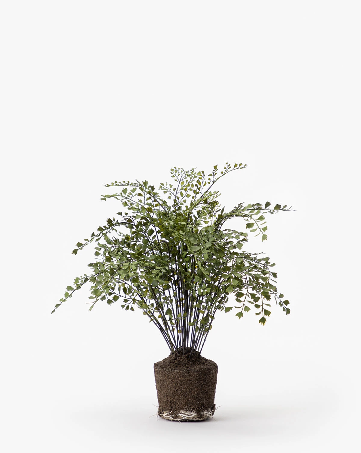 Faux Maiden Hair Drop-In - Image 4