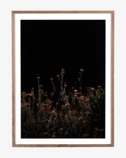 Flowers On Black Background