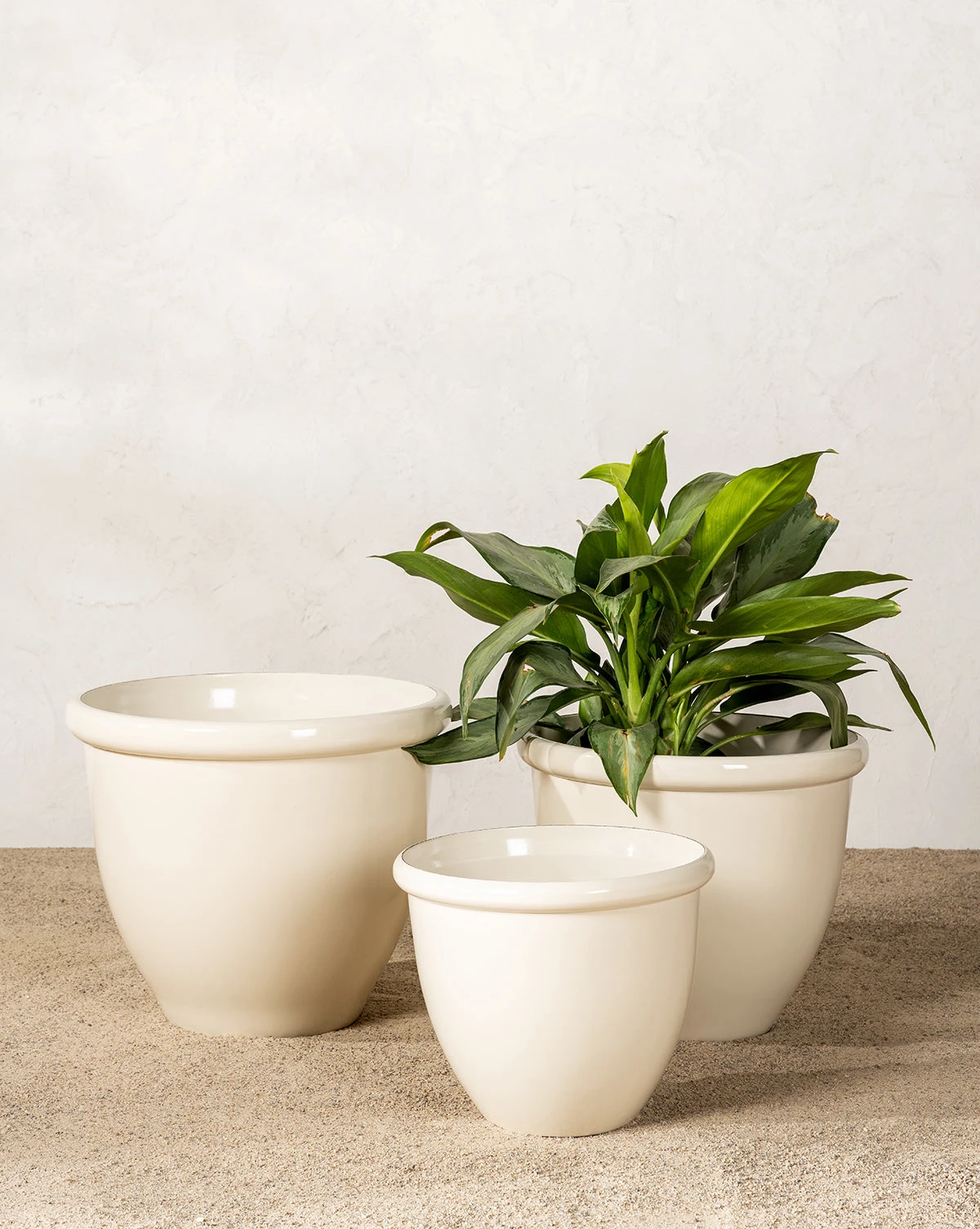 Glossy Cream Garden Pots (Set Of 3) - Image 2
