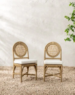 Marisol Indoor/Outdoor Dining Chair (Set Of 2)