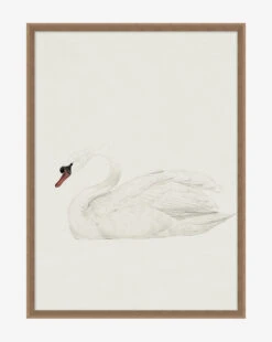 Neutral Swan