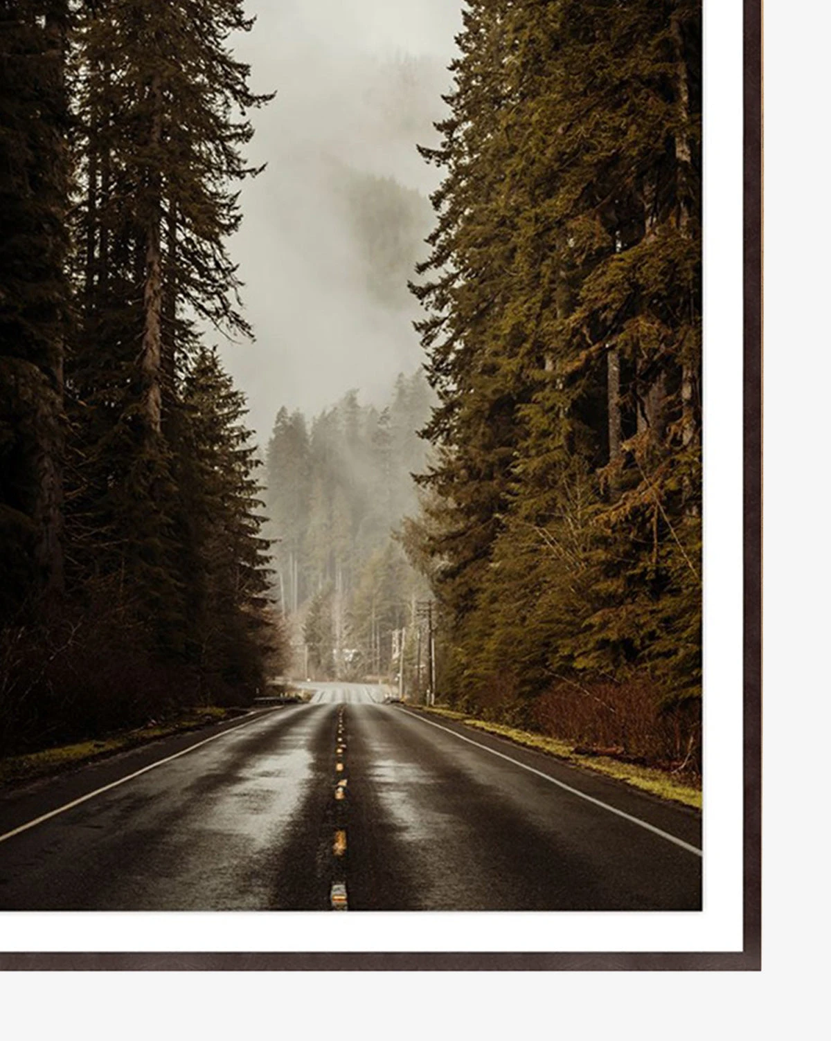 Path Less Traveled - Image 2