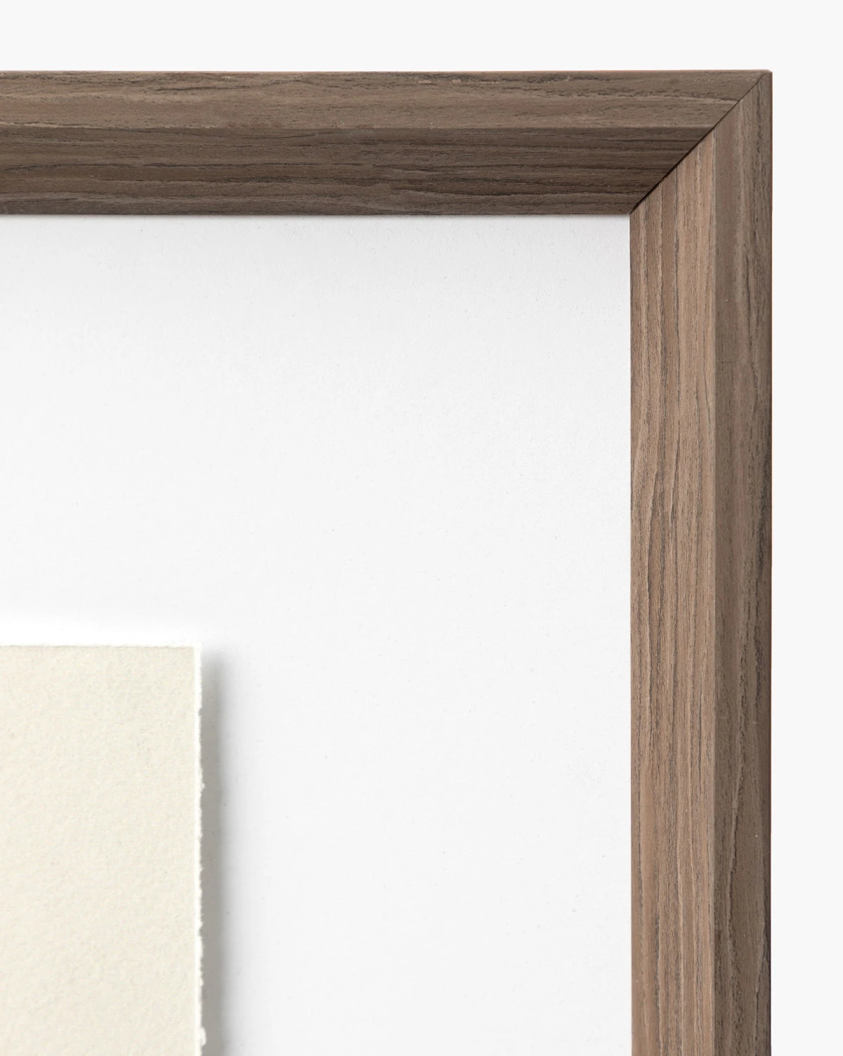 Portrait Views - Image 4