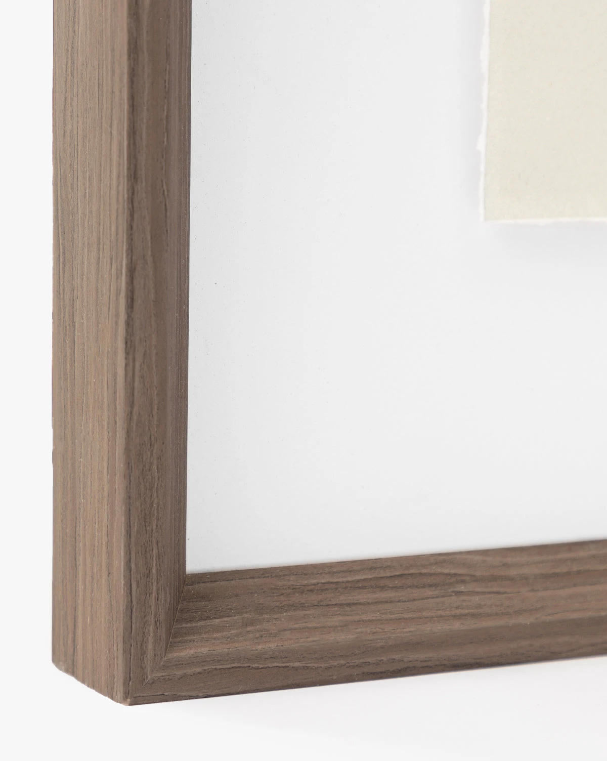 Portrait Views - Image 6