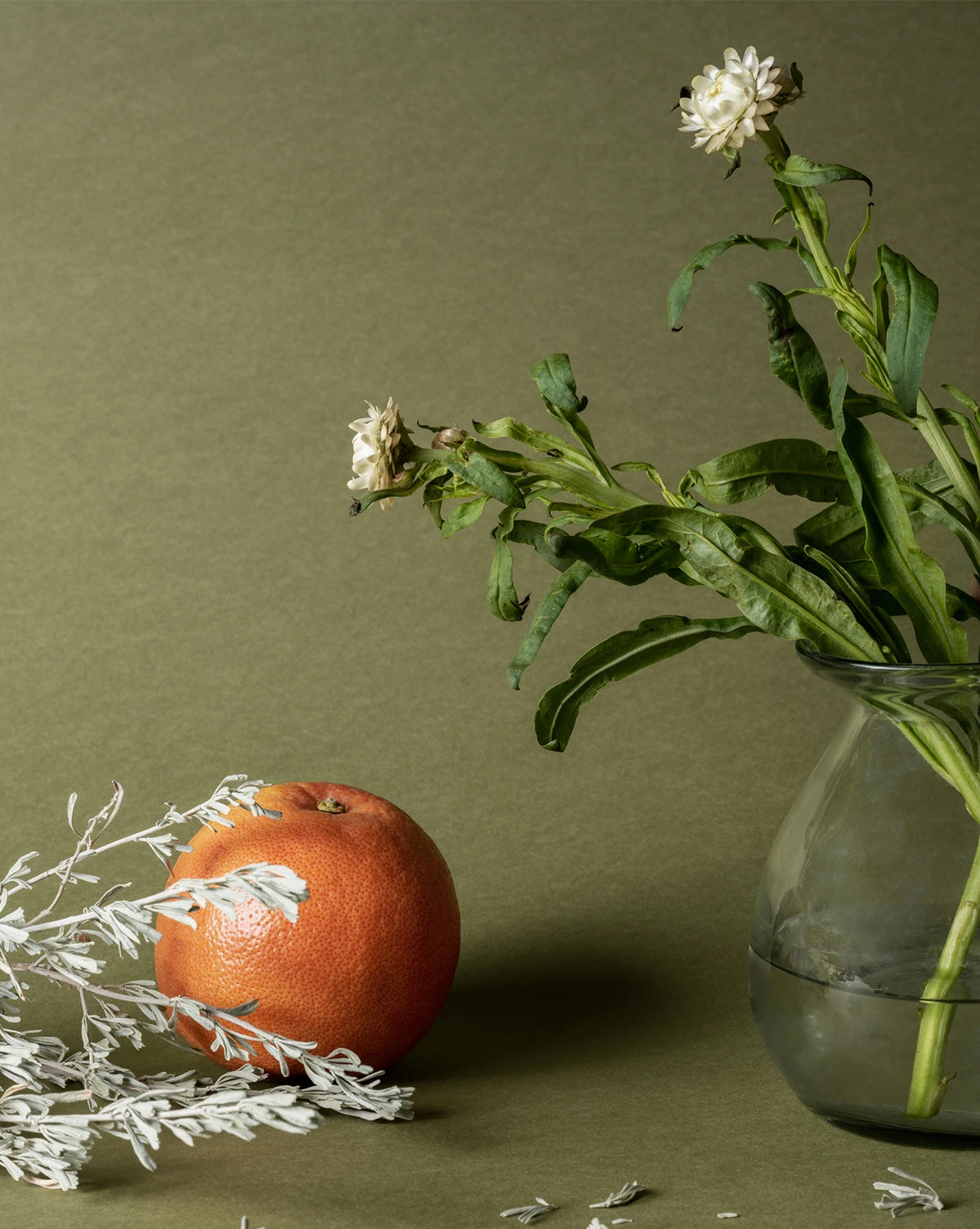 Pura X Studio McGee Wild Sage Home Fragrance Refill - Image 2