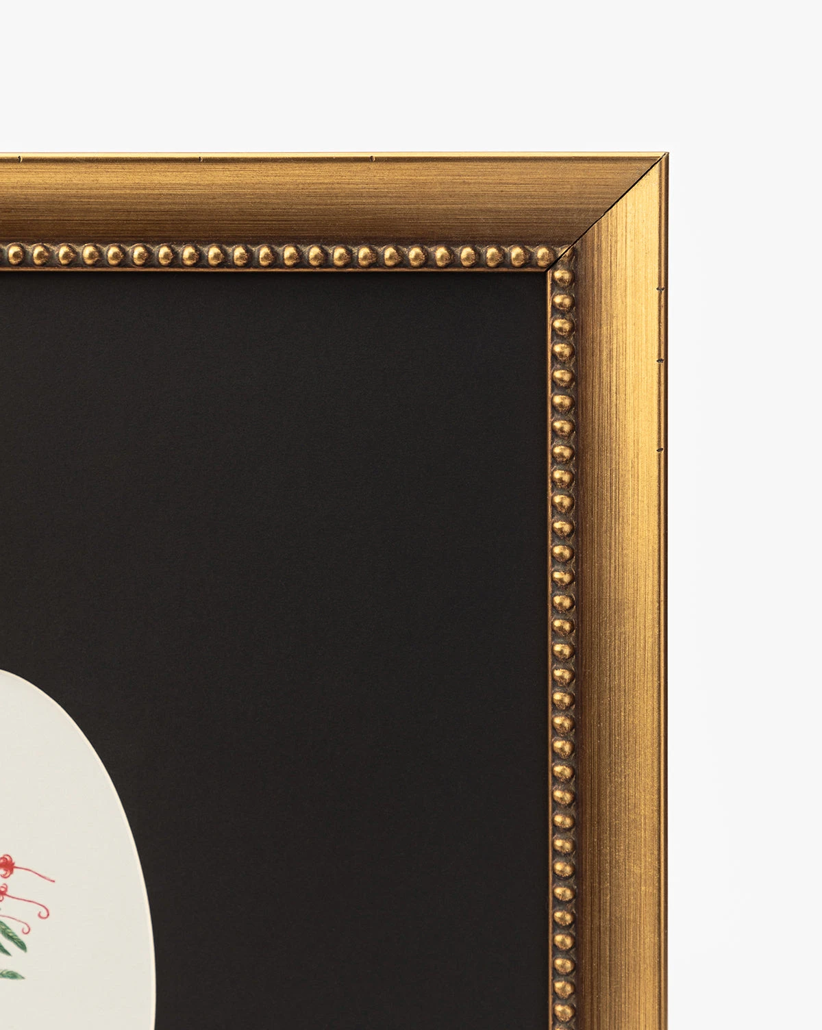 Single Blooms 2 - Image 3