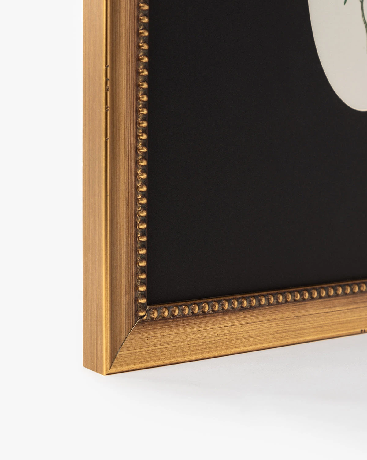 Single Blooms 2 - Image 4