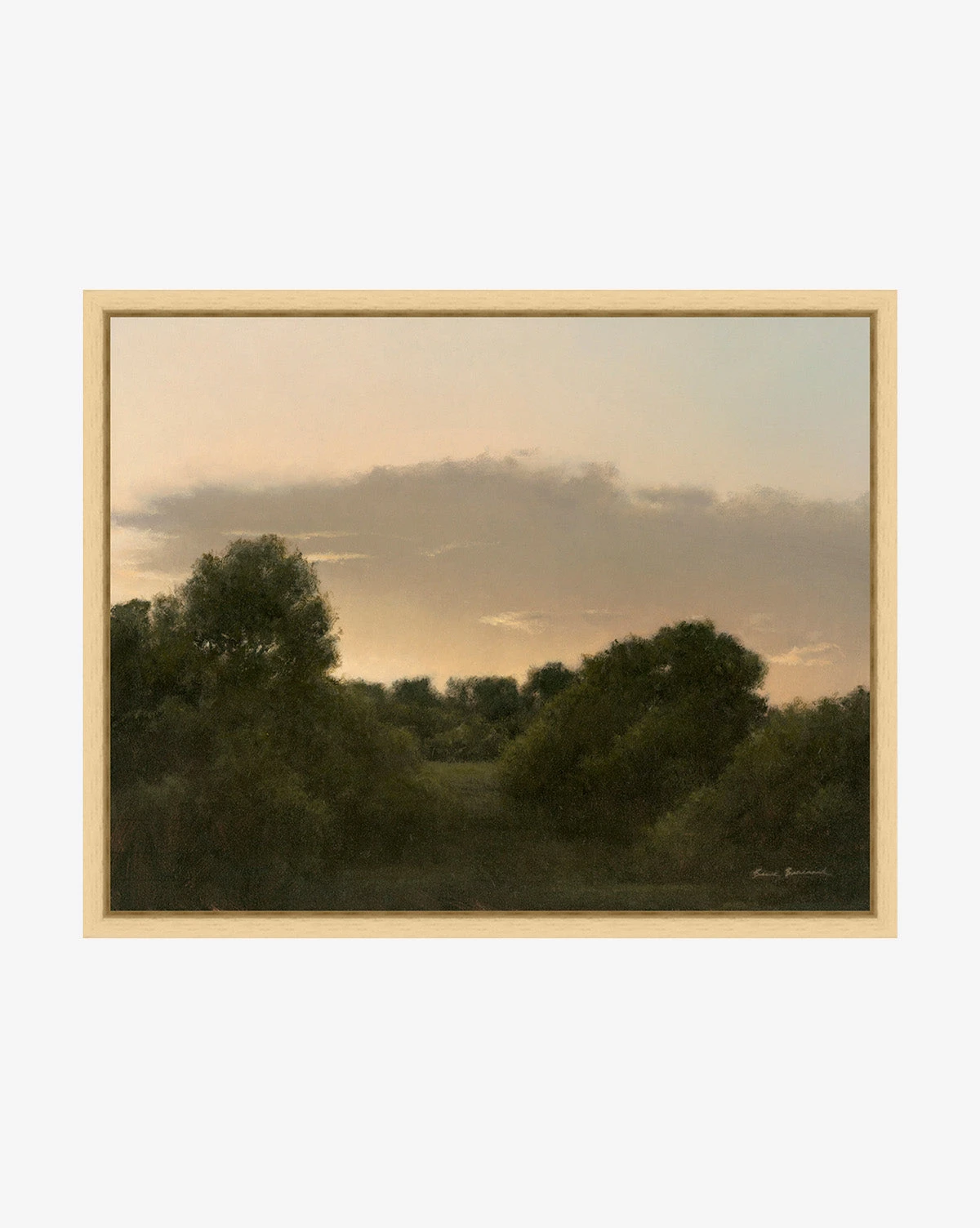 The Grove By Bruce Brainard