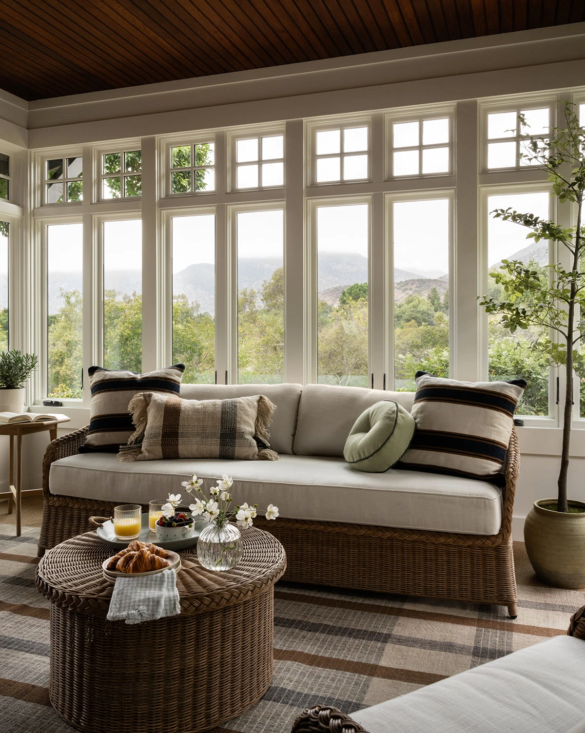 Keenan Handwoven Indoor/Outdoor Rug - Image 3