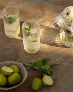 Sanibel Acrylic Highball Drinking Glasses (Set Of 4)